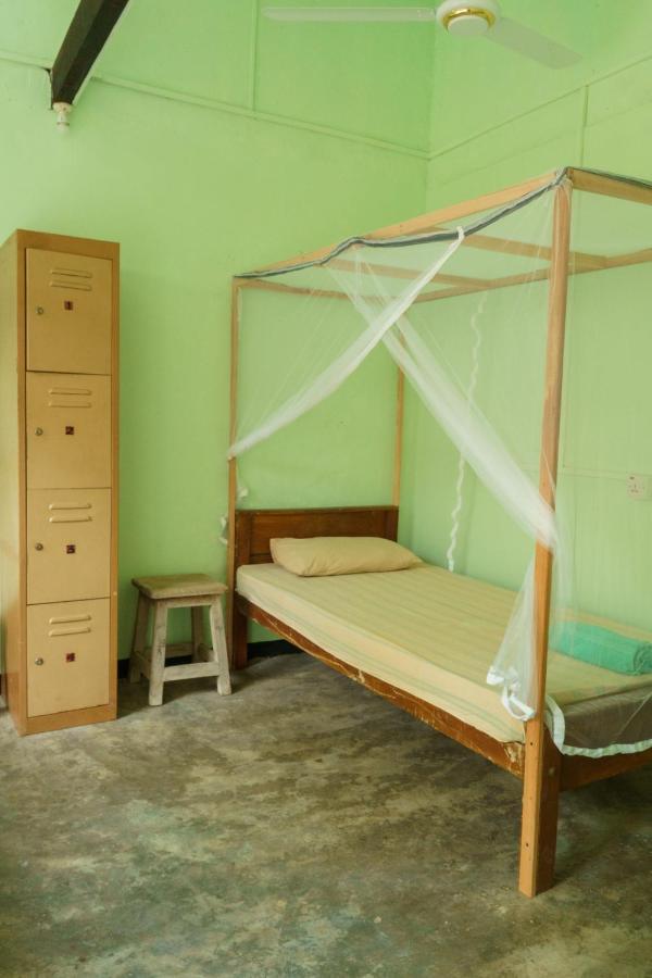 Little Bay Arugam Bay Hostel Kültér fotó
